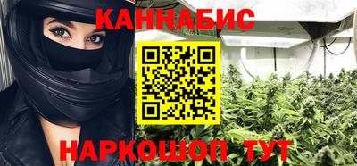 альфа пвп Новодвинск