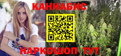 альфа пвп Новодвинск