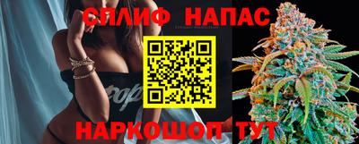 альфа пвп Новодвинск