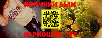 альфа пвп Новодвинск