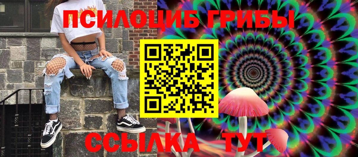 Галлюциногенные грибы Psilocybine cubensis  Вход с VPN  Тимашёвск 